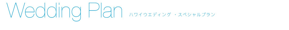 ルルズ・ハワイウエディング 教会（会場）一覧