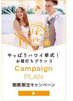 キャンペーンプラン