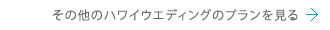 その他のハワイウエディングのプランを見る